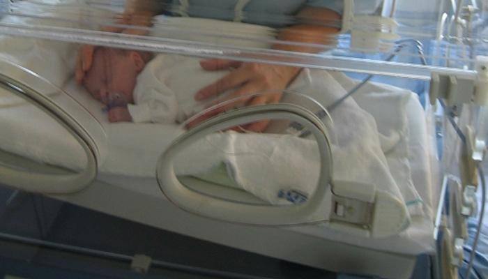 Father held after stray dogs found feeding on his stillborn baby girl's body