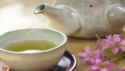 Combat obesity and memory decline – drink green tea!