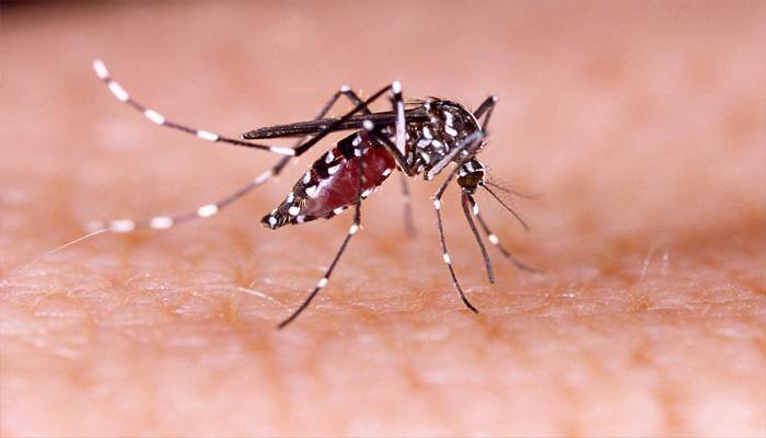 Big leap in dengue, malaria and chikungunya cases in Delhi; 288 people victimised in 2017