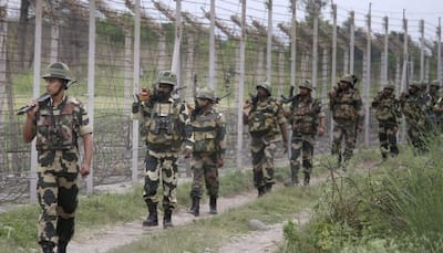 Complete sealing of Indo-Pak border with 'smart fence' by March 2018: BSF DG