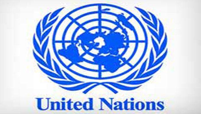  UN Security Council moves to thwart terrorists' access to weapons