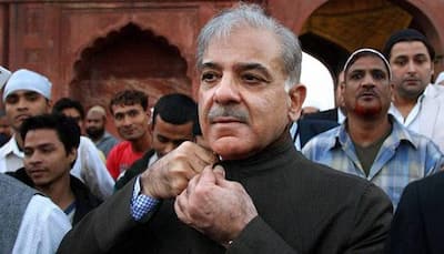 Shehbaz Sharif barred from campaigning for by-election