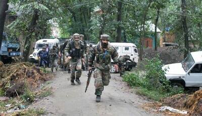 Jammu and Kashmir: Hizbul Mujahideen militant gunned down in Anantnag encounter;  Chinese hand grenade, SLR recovered