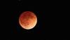 Save the date: Lunar eclipse to grace Indian skies on August 7
