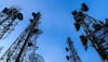 COAI seeks equal rules, spectrum road map in new telecom policy