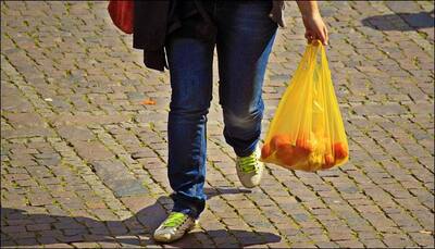 NGT imposes ban on use of non-biodegradable plastic bags less than 50 microns in Delhi