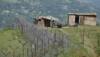 Fence