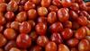 Man, who stole tomatoes worth Rs 57,000, arrested in Mumbai