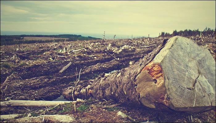 Social media sites like Twitter can be handy in tracking natural disasters in real time