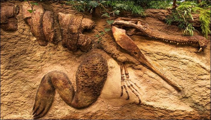 New species of gigantic, long necked dinosaurs found