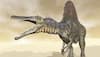 Researchers identify dinosaur species that roosted like modern birds' 70 million years ago
