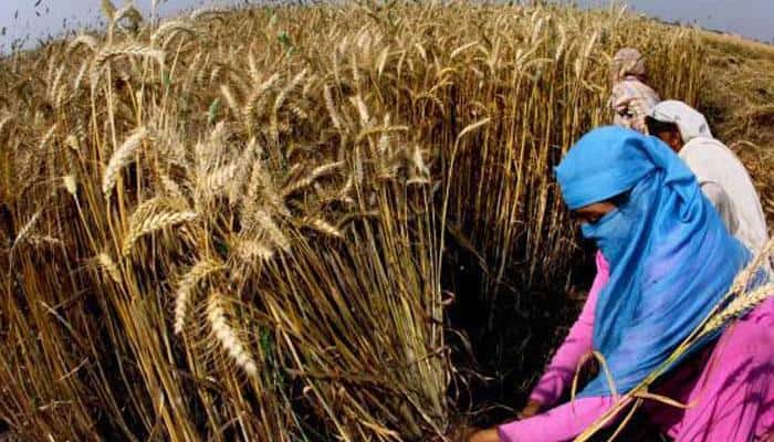 Aim to double farmers&#039; income by 2022 to tackle suicides: Govt to SC