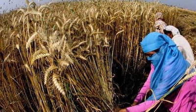 Aim to double farmers' income by 2022 to tackle suicides: Govt to SC