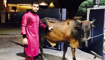 Twiterati show no mercy to Umar Akmal for posing with a bull