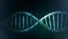 Fifteen genes behind intellectual disabilities identified