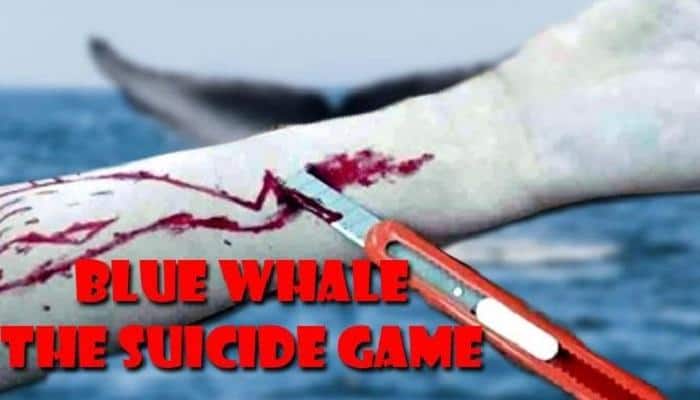 Blue Whale Challenge: Madras HC asks govt to explore possibility of its ban 