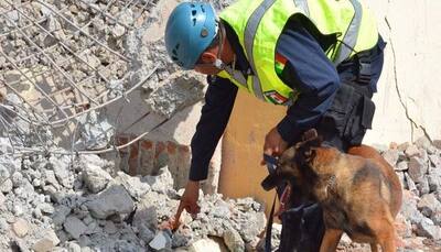 Mexico earthquake: Death toll rises to 61