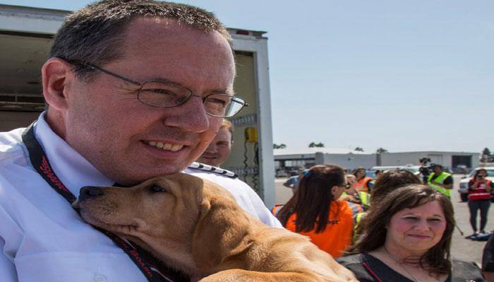 Southwest Airlines flies more than 60 animals to shelters after Hurricane Harvey