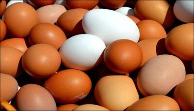 Food safety in India at risk due to egg contamination, says study – Read 