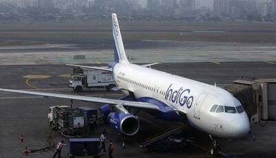 IndiGo parent to privately place up to 33.6 million shares