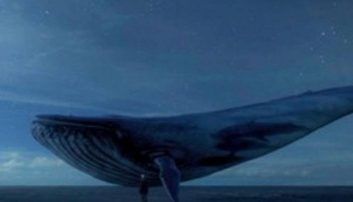 Madras HC gives directions to Centre to check Blue Whale game