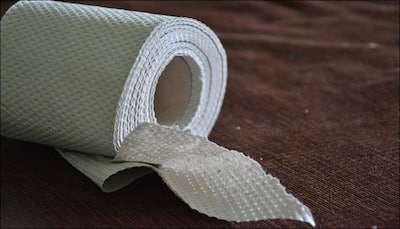 Renewable electricity from waste toilet paper? Scientists say it's possible! - Read 