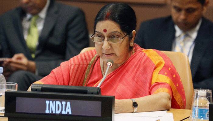 India&#039;s commitment to Palestinian cause can never be undermined: Sushma Swaraj at NAM meet