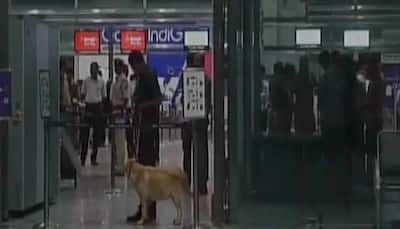 Scare over 'explosive' in passenger's baggage at Mangaluru airport