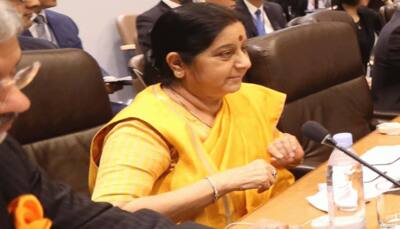 Terror groups draw sustenance from support systems in South Asia: Sushma Swaraj at BRICS ministerial meet