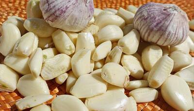Know why eating onion and garlic is a big no-no during Navratri?