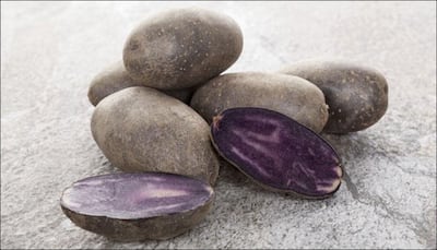Purple potatoes may slash colon cancer risk: Study