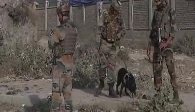 Minor explosion heard near Srinagar's Pantha Chowk, probe on
