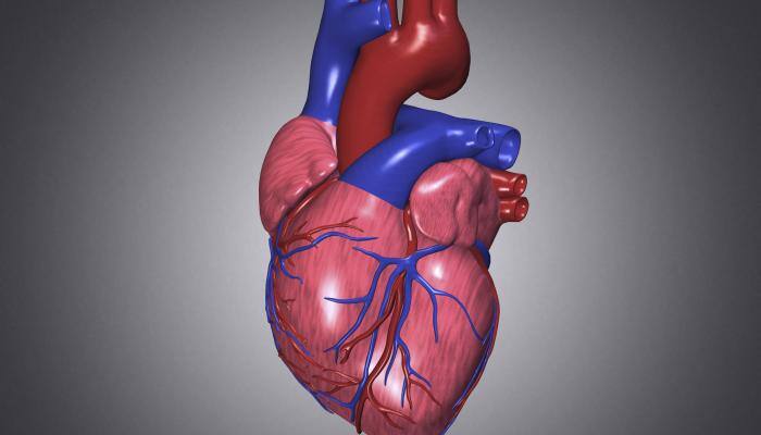 Nearly 50% of women in India at risk of heart disease, says survey