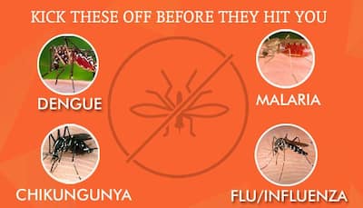 How to fight dengue, malaria, flu and chikungunya – Symptoms, prevention