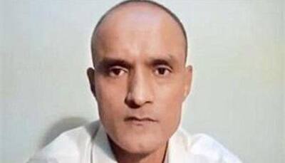 Pakistan minister's remark on swap offer on Kulbhushan Jadhav is a lie: India