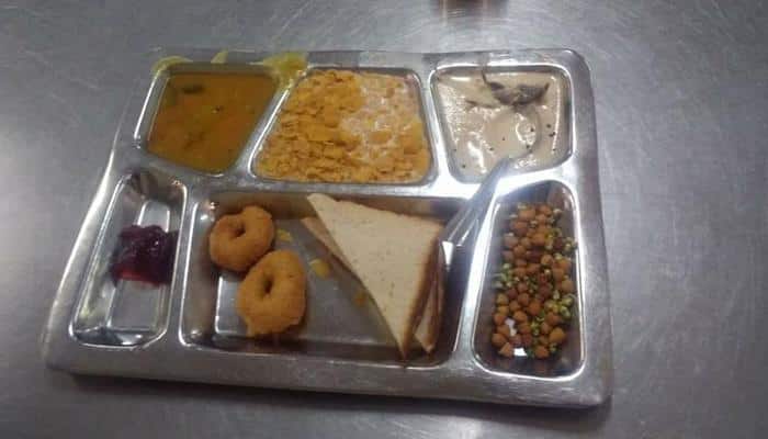 IIT Delhi sacks mess worker after dead mouse found in food
