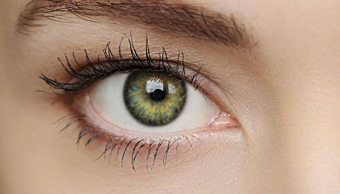 This is how our eyes sense moonlight, daylight