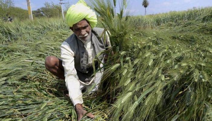 PM&#039;s crop cover pushes insurance penetration past 1% in FY17