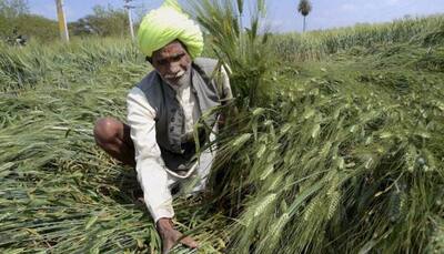 PM's crop cover pushes insurance penetration past 1% in FY17