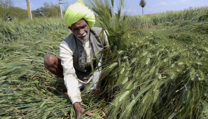 PM's crop cover pushes insurance penetration past 1% in FY17