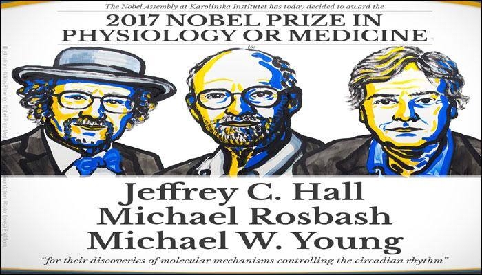 Jeffrey C Hall, Michael Rosbash and Michael W Young win Nobel Prize in Medicine for circadian rhythm