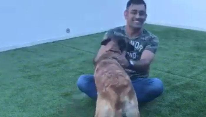 MS Dhoni playing mirror with &#039;Sam&#039; is a must watch for all dog lovers