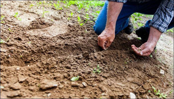 Climate change: Warming soils may intensify Earth&#039;s temperatures, warn scientists