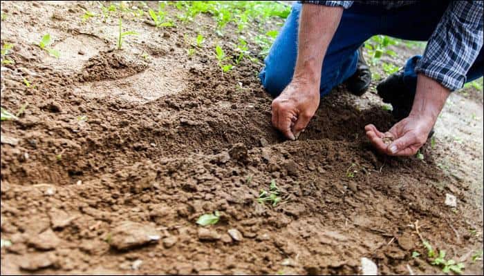Climate change: Warming soils may intensify Earth's temperatures, warn scientists