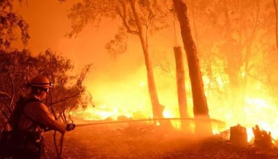 10 killed in California wildfires, 1,500 buildings destroyed