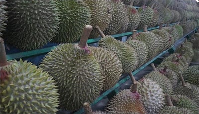 Why does durian stink? Scientists reveal one of nature's smelliest secrets