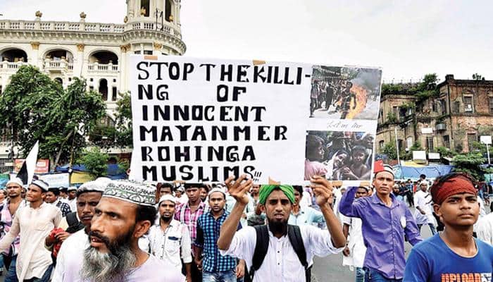 Myanmar's crackdown on Rohingya aimed at permanently expelling Muslims from their home: UN
