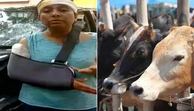 Bengaluru techie claims she was attacked by mob for reporting illegal cow slaughter