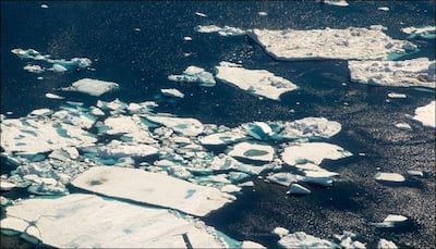 Greenland waters losing salinity due to melting ice, may affect marine life: Scientists