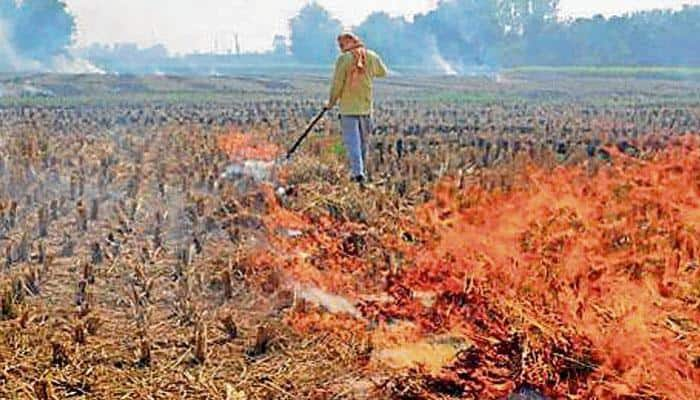 Threat of crop-burning smog across North India, NGT to hear cases today